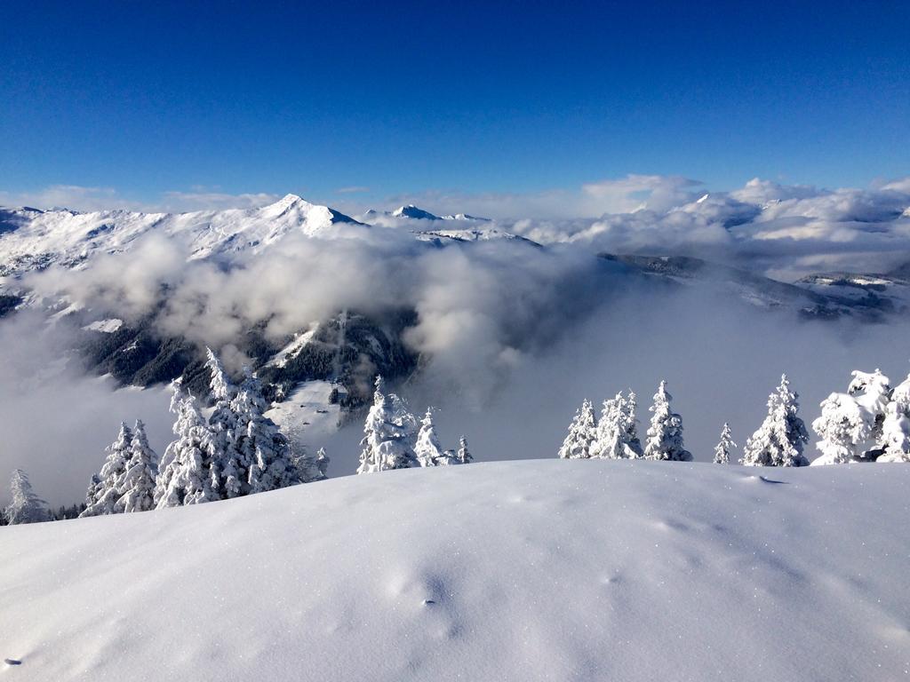 Alpenhotel Wildschoenau B&B エクステリア 写真