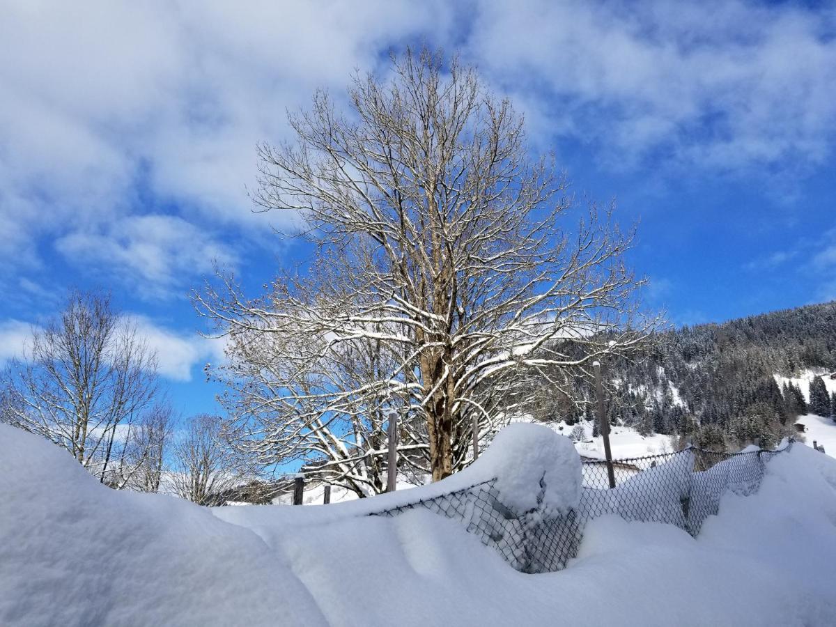 Alpenhotel Wildschoenau B&B エクステリア 写真